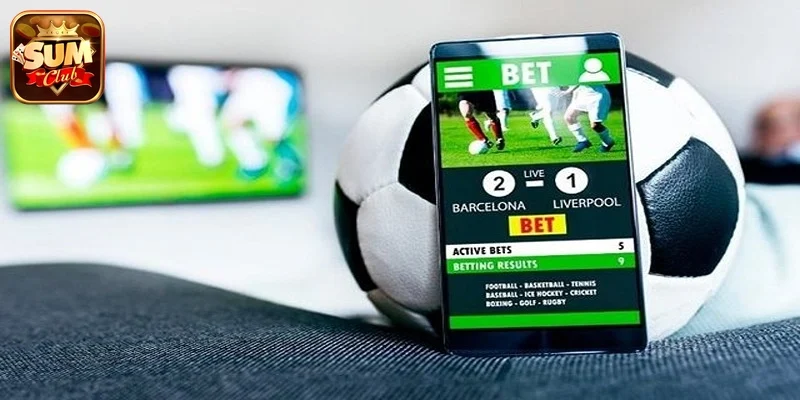 Cách tránh website giả mạo Sumclub an toàn và hiệu quả nhất 4 Cách tránh website giả mạo Sumclub - tổng quan 2026